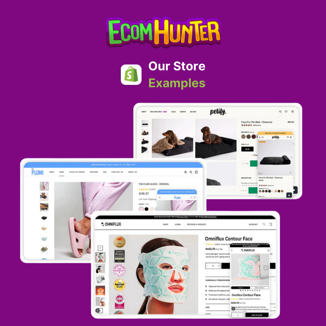Prebuilt Dropshipping Website ©